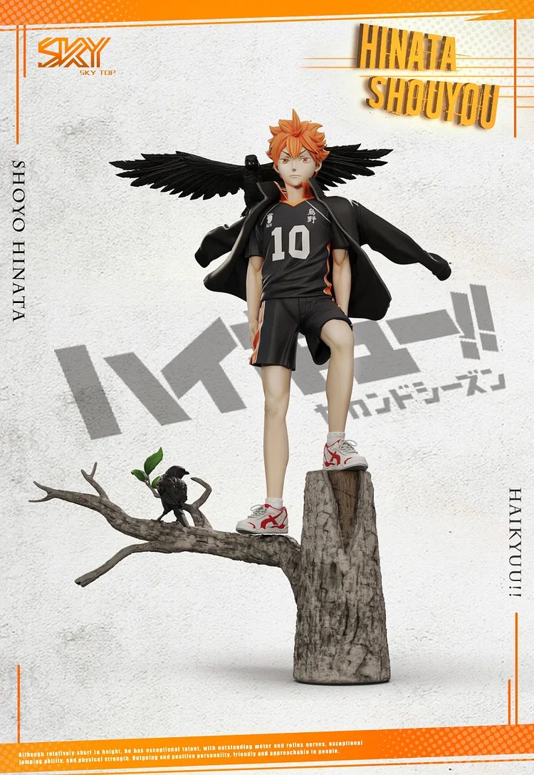 Shoyo Hinata – Haikyuu!! – Sky Top Studio