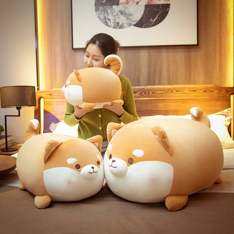 Ảnh Sản Phẩm