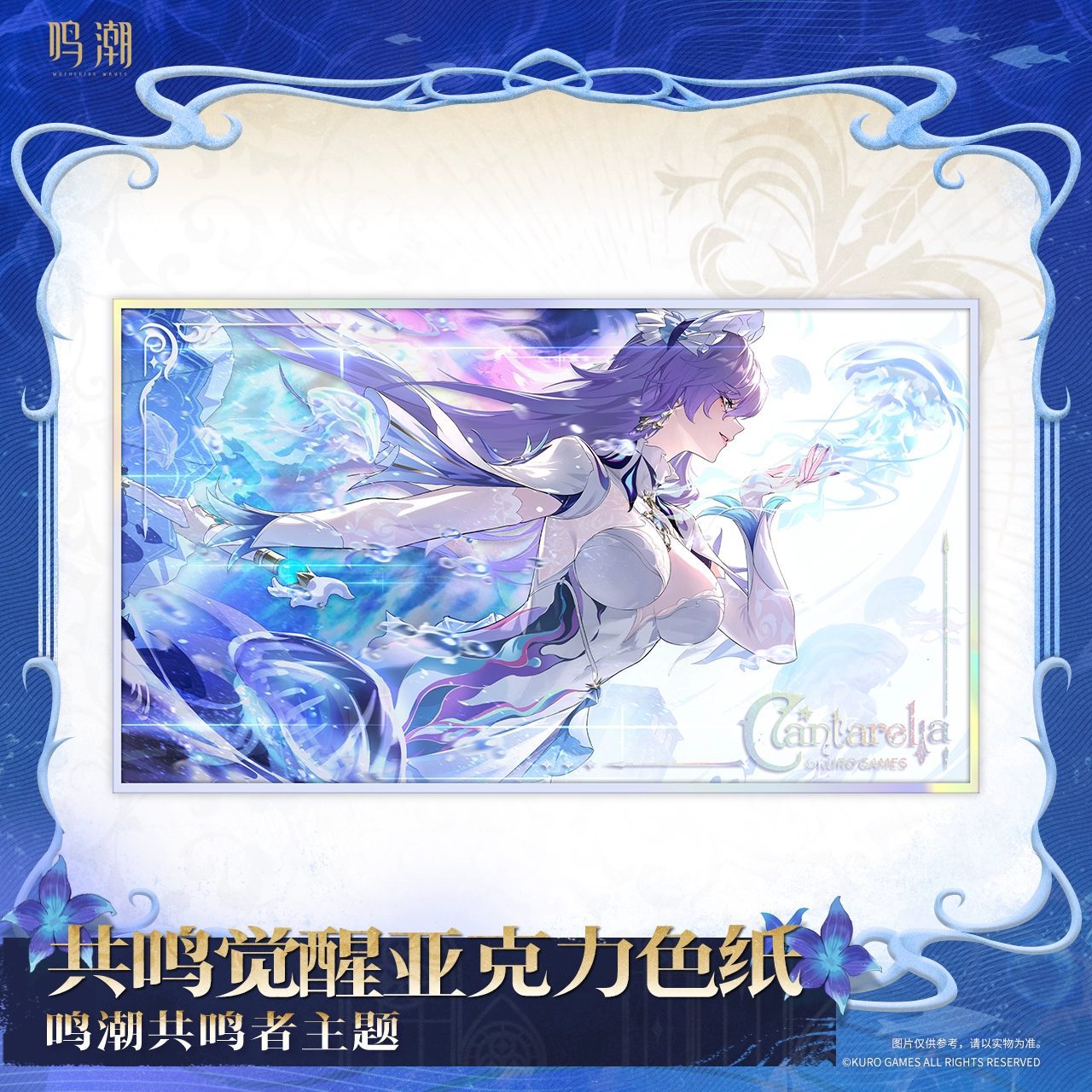 Shikishi Cantarella Thức Tỉnh – Wuthering Waves – Chính hãng Kuro Game