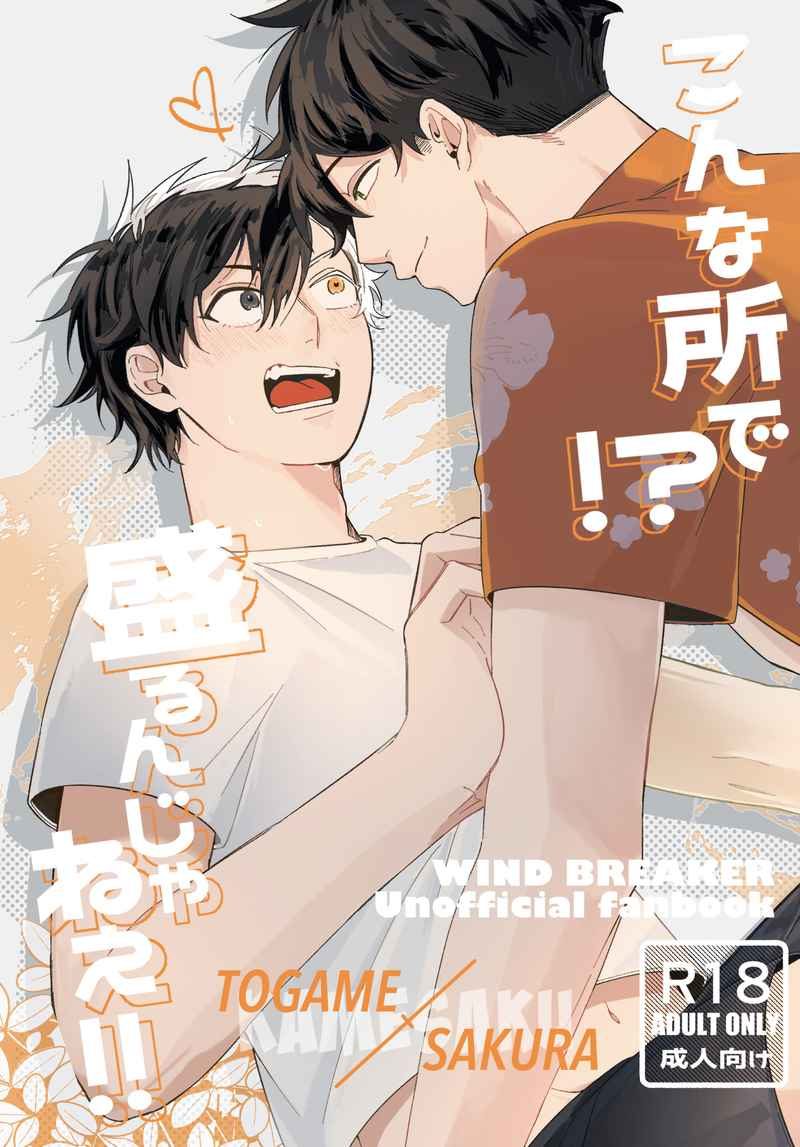 Doujinshi Ở Chỗ Này Hả!? Không Được Lên Cơn Ở Đây!! / こんな所で!?盛るんじゃねぇ!! – Wind Breaker