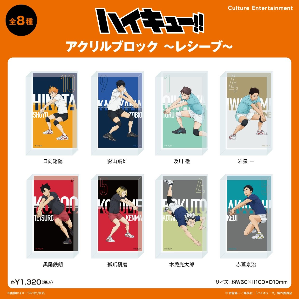 Khối acrylic chủ đề tư thế Nhận Bóng – Haikyuu!! – Chính hãng Culture Entertainment