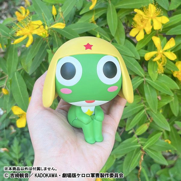 Ảnh Sản Phẩm