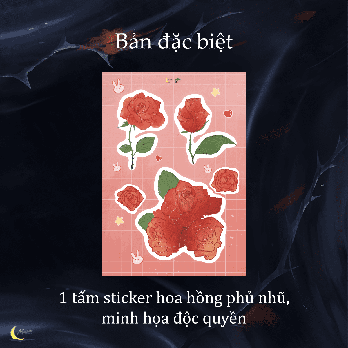 Ảnh Sản Phẩm