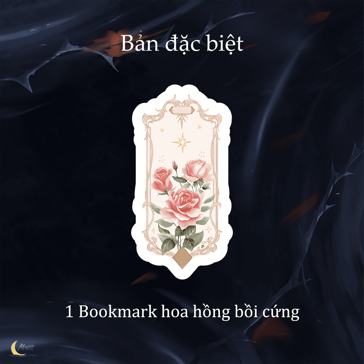 Ảnh Sản Phẩm