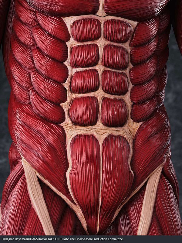 Ảnh Sản Phẩm