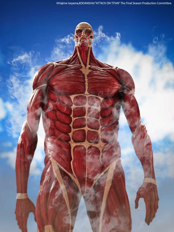 Ảnh Sản Phẩm